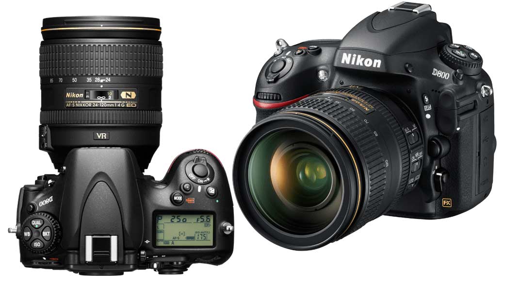 Nikon D800 Price Reviews, Specifications