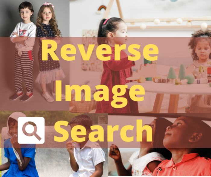 Reverse Image Search